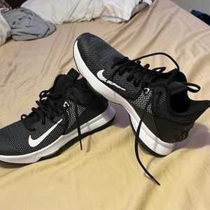 Nike Lebron Witness 4